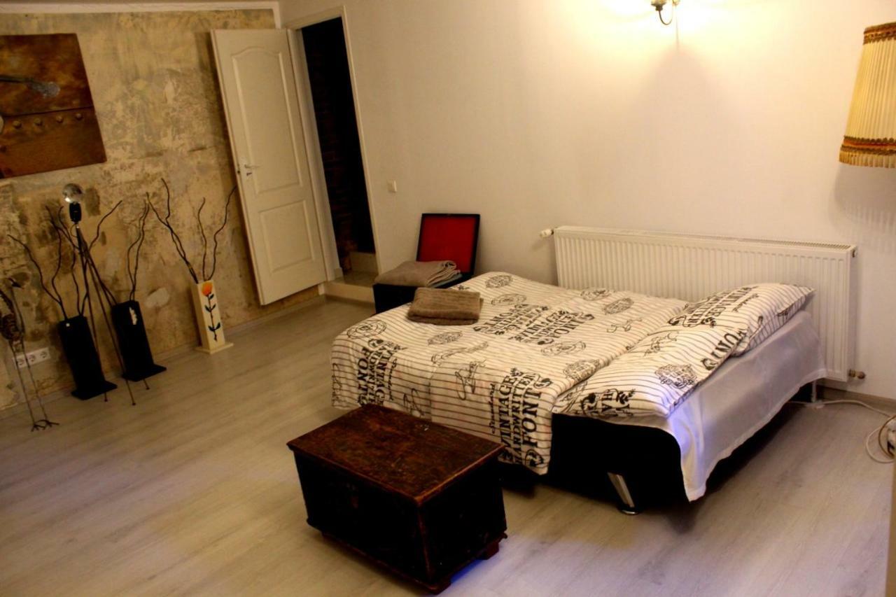 Mansion Josephina Apartment คลูจ-นาโปกา ภายนอก รูปภาพ